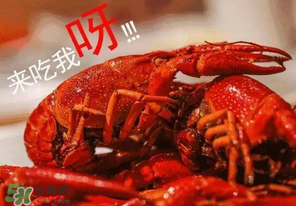 煮熟的小龍蝦隔夜能吃嗎？煮熟的小龍蝦能放多久？