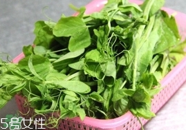豌豆苗怎么做好吃？豌豆苗的做法