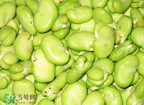 蠶豆發(fā)芽能吃嗎？蠶豆長芽了還能吃嗎？