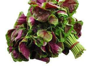 野莧菜能吃嗎？野莧菜圖片