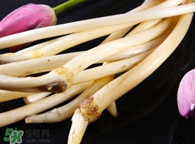 藕帶什么時候有？藕帶什么時候上市