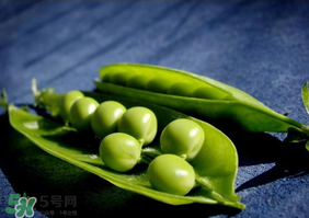 豌豆隔夜能吃嗎？豌豆可以隔夜吃嗎？