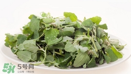 灰灰菜能吃嗎？灰灰菜怎么做菜才好吃