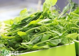豌豆苗怎么做好吃？豌豆苗的做法