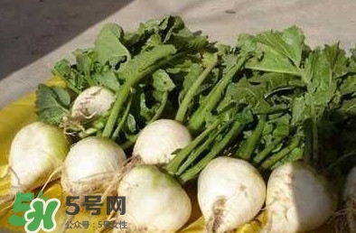 芥菜疙瘩孕婦能吃嗎？孕婦可以吃芥菜疙瘩嗎