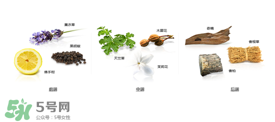 郎朗香水是什么牌子？郎朗香水是什么檔次？