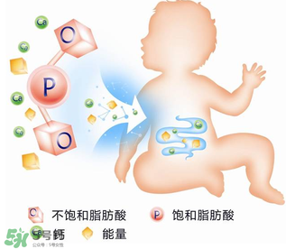 kabrita佳貝艾特羊奶粉怎么樣？kabrita佳貝艾特羊奶粉好不好？