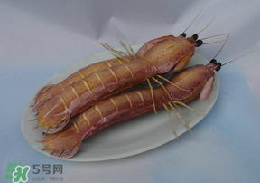 皮皮蝦死了還能吃嗎？皮皮蝦死了多久還能吃？