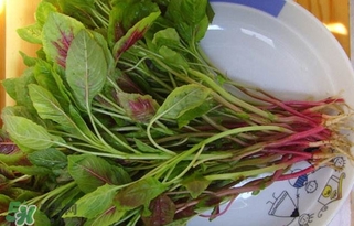 莧菜怎么洗？莧菜怎么擇