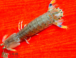 皮皮蝦煮多長(zhǎng)時(shí)間？水煮皮皮蝦多長(zhǎng)時(shí)間？
