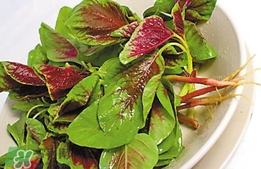 莧菜怎么吃？莧菜怎么炒