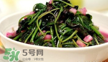 莧菜怎么吃？莧菜怎么炒