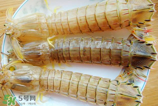蝦爬子多少錢一斤？2017蝦爬子價(jià)格