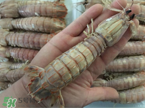 蝦爬子是蒸還是煮？蝦爬子蒸好還是煮好？