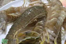 皮皮蝦可以放冰箱嗎？皮皮蝦能放冰箱保存嗎？