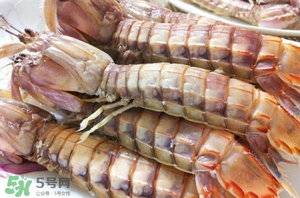 皮皮蝦黃能吃嗎？皮皮蝦黃的營養(yǎng)價(jià)值