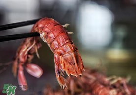 熟皮皮蝦隔夜還能吃嗎？煮熟的皮皮蝦隔夜能吃嗎？