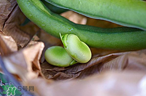 蠶豆可以放冰箱嗎？新鮮蠶豆可以放冰箱嗎？