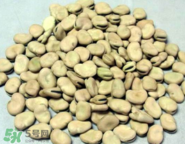 蠶豆長蟲還能吃嗎？蠶豆怎么保存不長蟲？