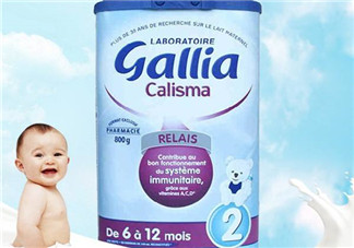gallia佳利雅奶粉怎么樣？gallia佳利雅奶粉好嗎？