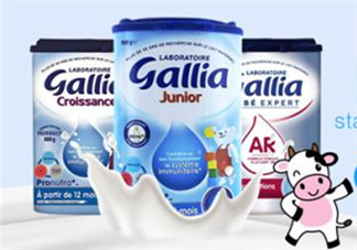 gallia佳利雅奶粉怎么沖？gallia佳利雅奶粉沖調(diào)方法？