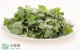 胃酸過多吃灰灰菜有好處嗎？胃酸過多能吃灰灰菜嗎