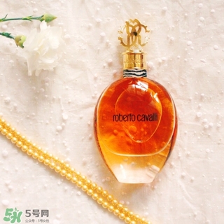 roberto cavalli是什么牌子？羅伯托卡沃利是幾線什么檔次？