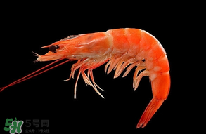 基圍蝦不能和什么一起吃？基圍蝦和什么不能一起吃？