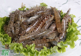 基圍蝦不能和什么一起吃？基圍蝦和什么不能一起吃？