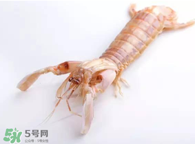 皮皮蝦什么時(shí)候有籽？皮皮蝦幾月份有籽？