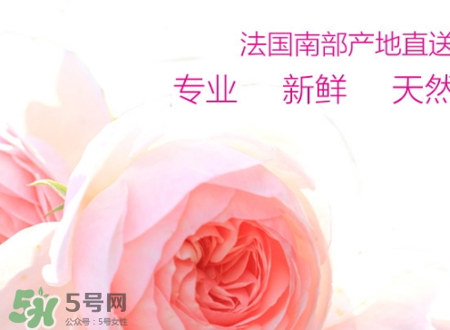 rossi rossa面膜怎么樣？rossi rossa珞珞莊園面膜好不好？