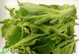 ?冰菜多少錢(qián)一斤？? 今年冰菜多少錢(qián)一斤？