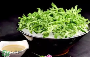 冰菜什么人不適宜吃？冰菜什么體質(zhì)不能吃？
