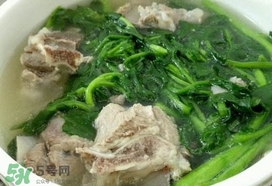 西洋菜是什么菜？西洋菜是什么樣的