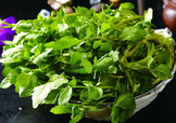 西洋菜怎么摘洗？西洋菜怎么洗才干凈