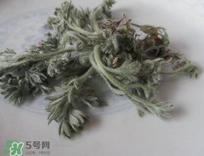 白蒿能治黃疸嗎？白蒿水可以治黃疸嗎？