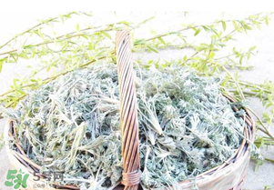白蒿要焯水嗎？白蒿要不要焯水？