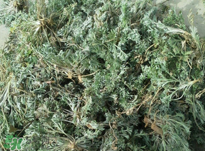 白蒿多少錢(qián)一斤？白蒿的價(jià)格