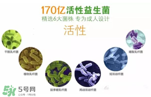 益生菌哪個牌子好？哪個牌子的益生菌好？
