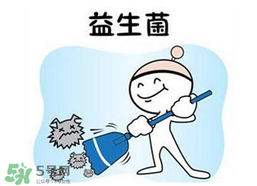 益生菌哪個牌子好？哪個牌子的益生菌好？