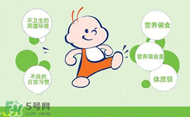 益生菌哪個牌子好？哪個牌子的益生菌好？