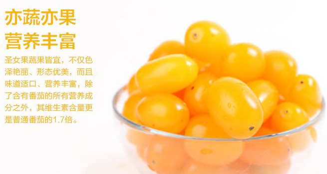 圣女果能減肥嗎？圣女果可以減肥嗎