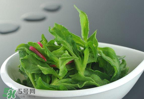 冰草可以放冰箱嗎？冰草能用冰塊保存嗎？