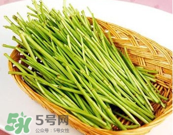 蘆蒿與茼蒿有什么區(qū)別？蘆蒿和茼蒿的區(qū)別
