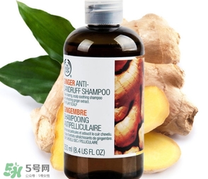 美體小鋪生姜洗發(fā)水怎么樣？the body shop生姜洗發(fā)水使用心得