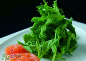 冰草怎么清洗？非洲冰草怎么清洗？