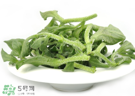 ?冰草為什么會酸？冰草為什么是酸的？
