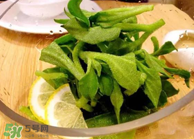 冰草用什么醬？冰草用什么醬好吃？