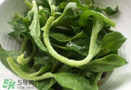冰菜為什么會酸？冰菜為什么是咸的？