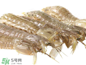 蝦爬子什么季節(jié)最肥？蝦爬子幾月份最肥？